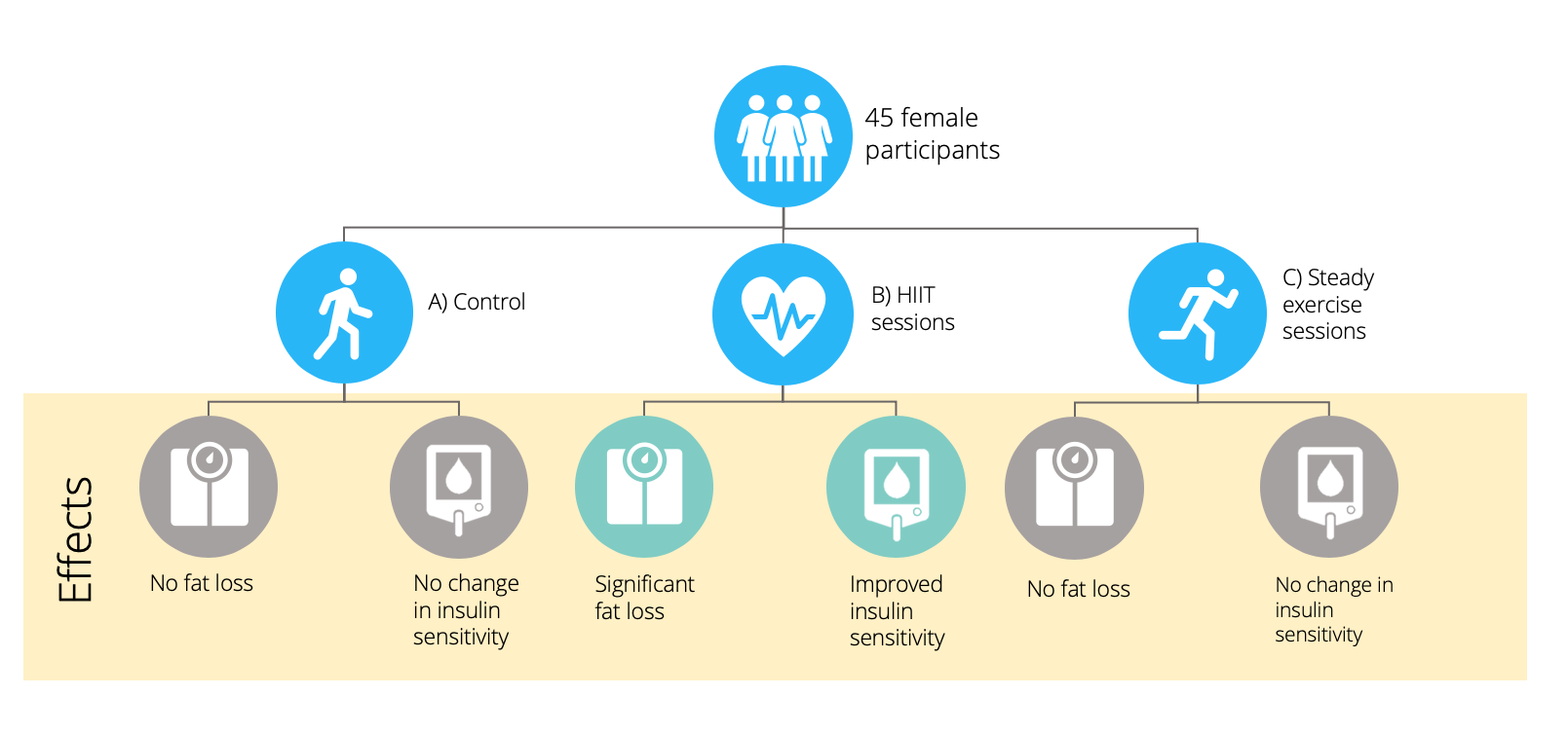 Infographic explaining a trial that demonstrated that HIIT exercise was the most effective for weight loss and insulin sensitivity. 