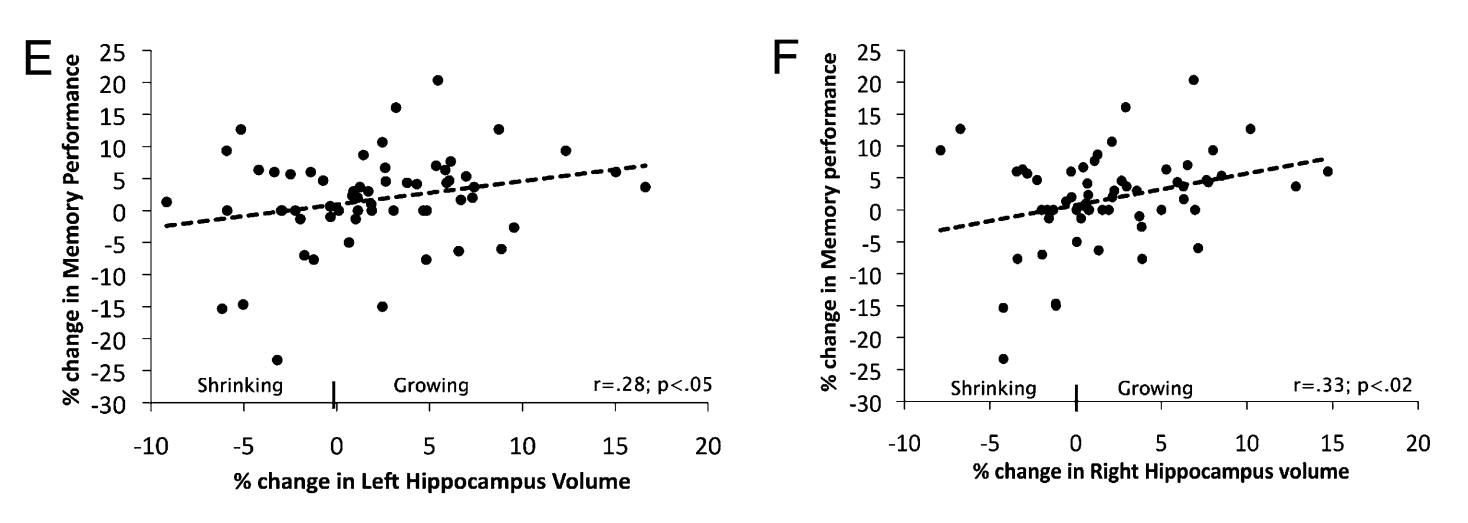 brain and exercise figure.