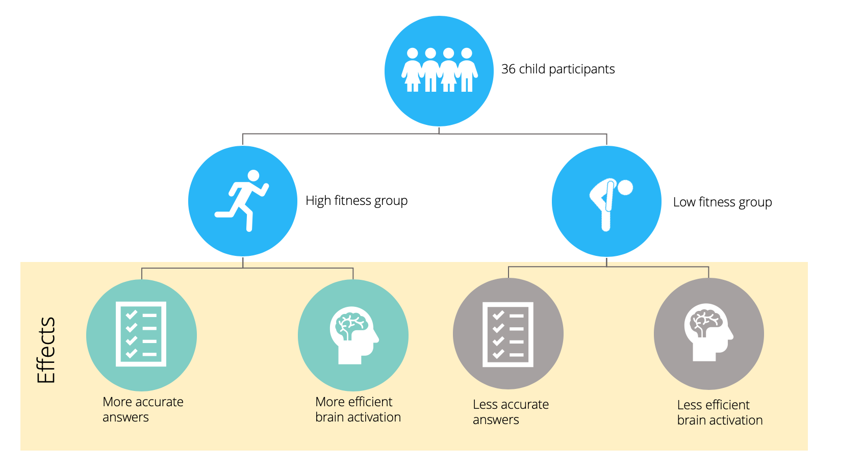 Infographic of study demonstrating the association of aerobic fitness on cognitive functionality in children. 