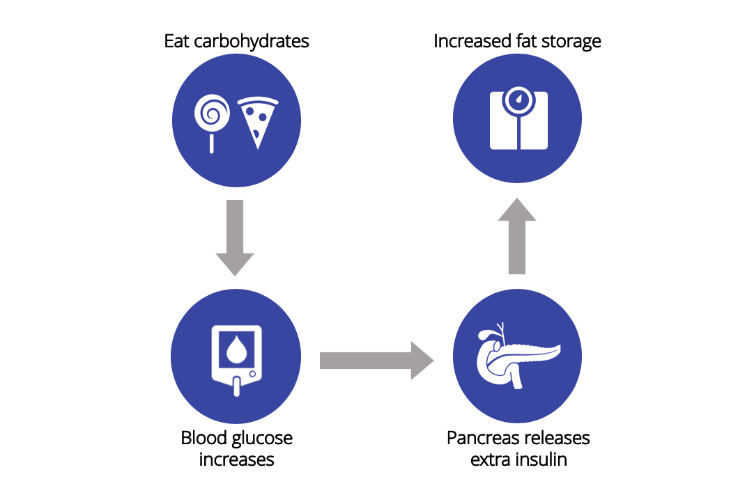 A simplified infographic explaining how eating high-carb can promote fat storage.