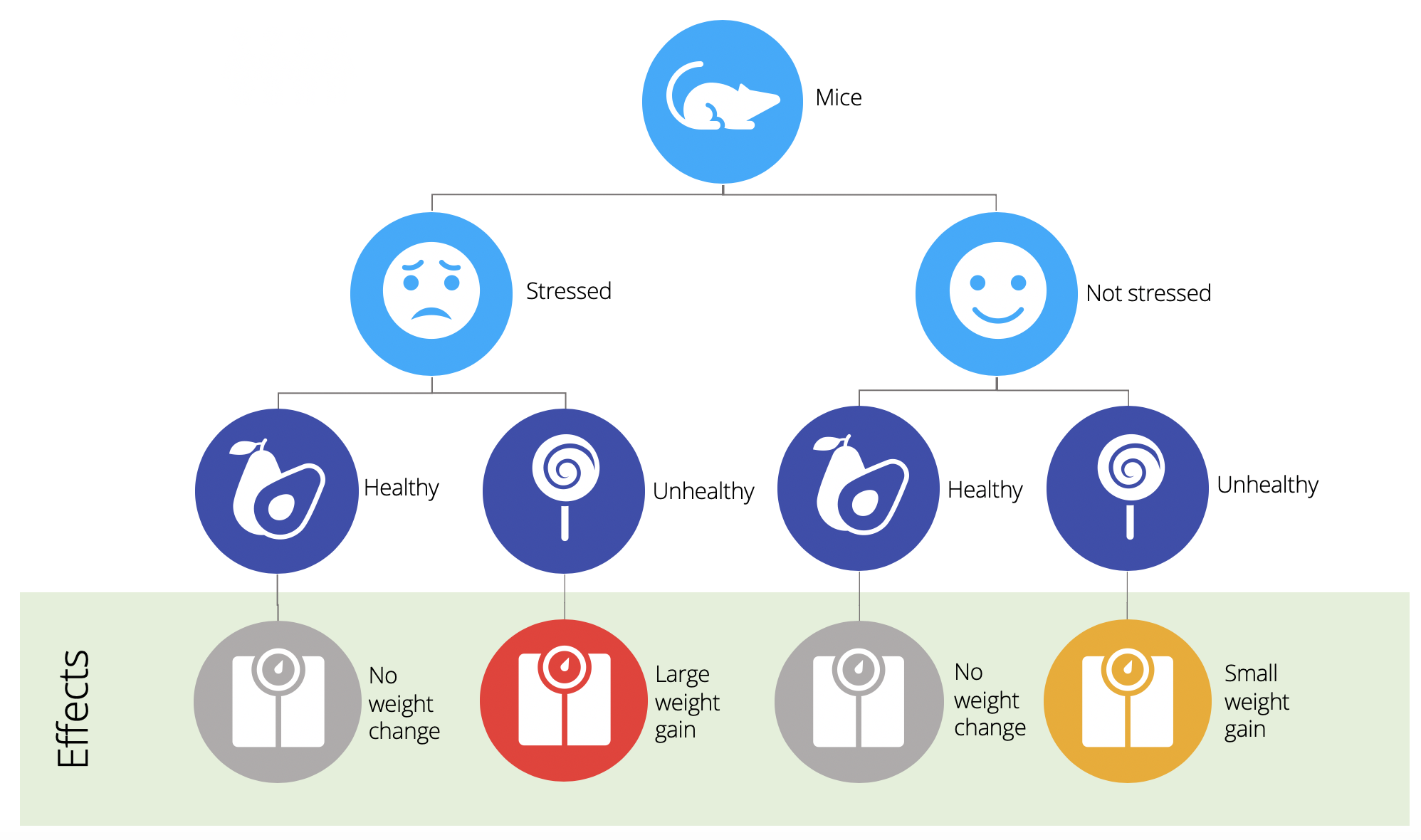 Infographic showing that stress can impact weight gain from an unhealthy diet.