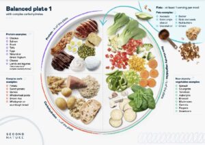 Infographic of a balanced plate - 1/4 protein, 1/4 carobhydrate, 1/2 non-starchy vegetables