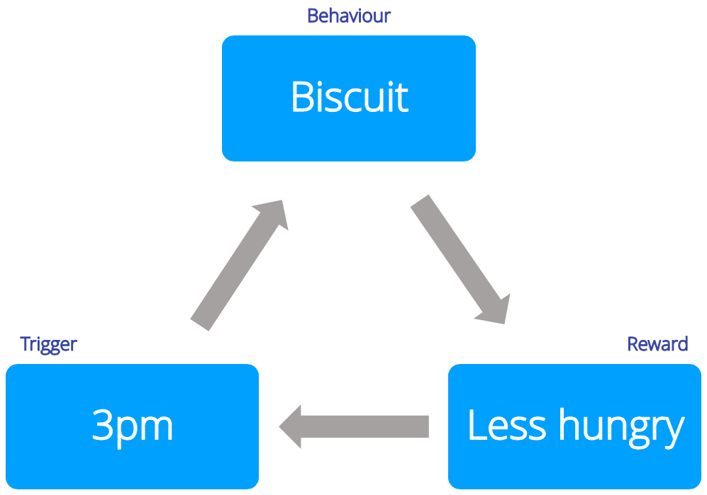 The habit loop in action, with the example of an afternoon biscuit. 