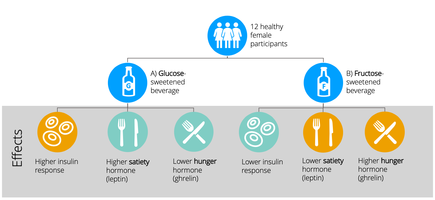 infographic illustrating a trial comparing glucose and fructose. 