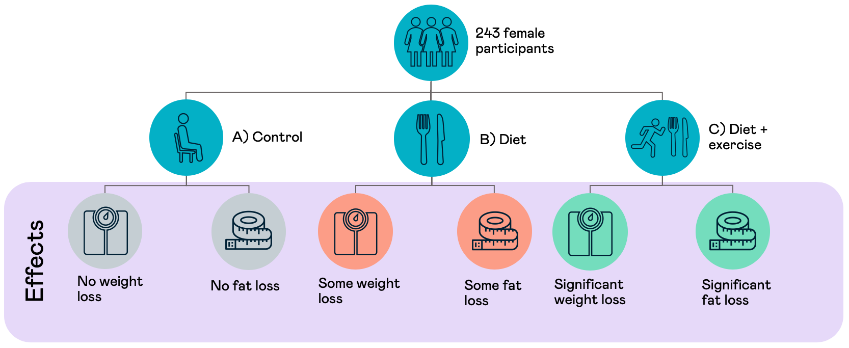 Diet and exercise trial with postmenopausal women