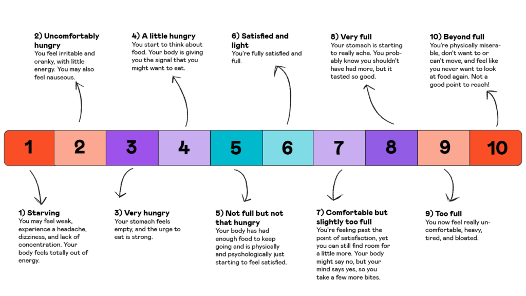 How to eat a balanced diet | Second Nature Guides