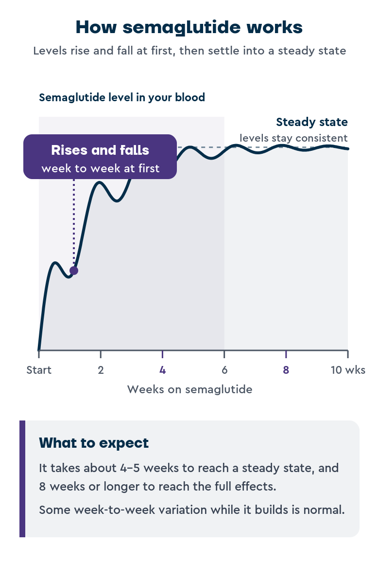 Graph showing semaglutide blood levels over 10 weeks. Line starts low, rises steeply with daily fluctuations in weeks 1-3, then gradually stabilises into a consistent plateau by week 4-5. Purple callout labels the early phase "Rises and falls day to day at first" and the later phase "Steady state levels stay consistent". Information box notes it takes 4-5 weeks to reach steady state and 8+ weeks for full effects.