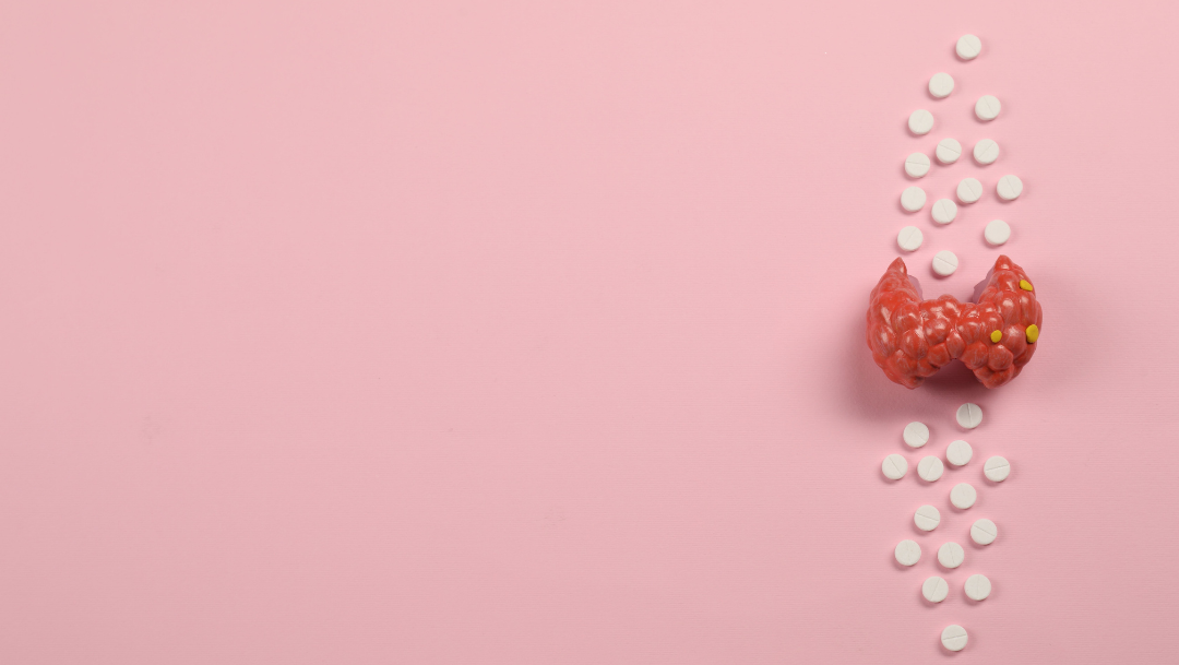 can you take semaglutide after thyroidectomy a patient with papillary thyroid carcinoma who is post‑thyroidectomy, on stable levothyroxine replacement and has no residual disease safely use (generic: semaglutide)? Ozempic linked to thyroid cancer
