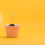 ozempic and other weight loss drugs OZEMPIC: Risks, Benefits, and Natural Alternatives to GLP-1 Weight-Loss  Drugs