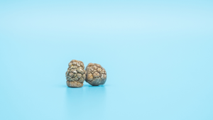 semaglutide gallstones Can you take Wegovy if you have gallstones?