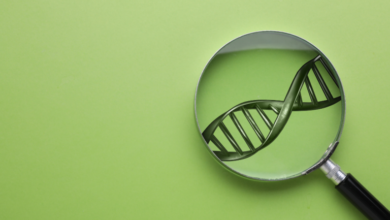Why GLP-1 medications work better for some people than others
