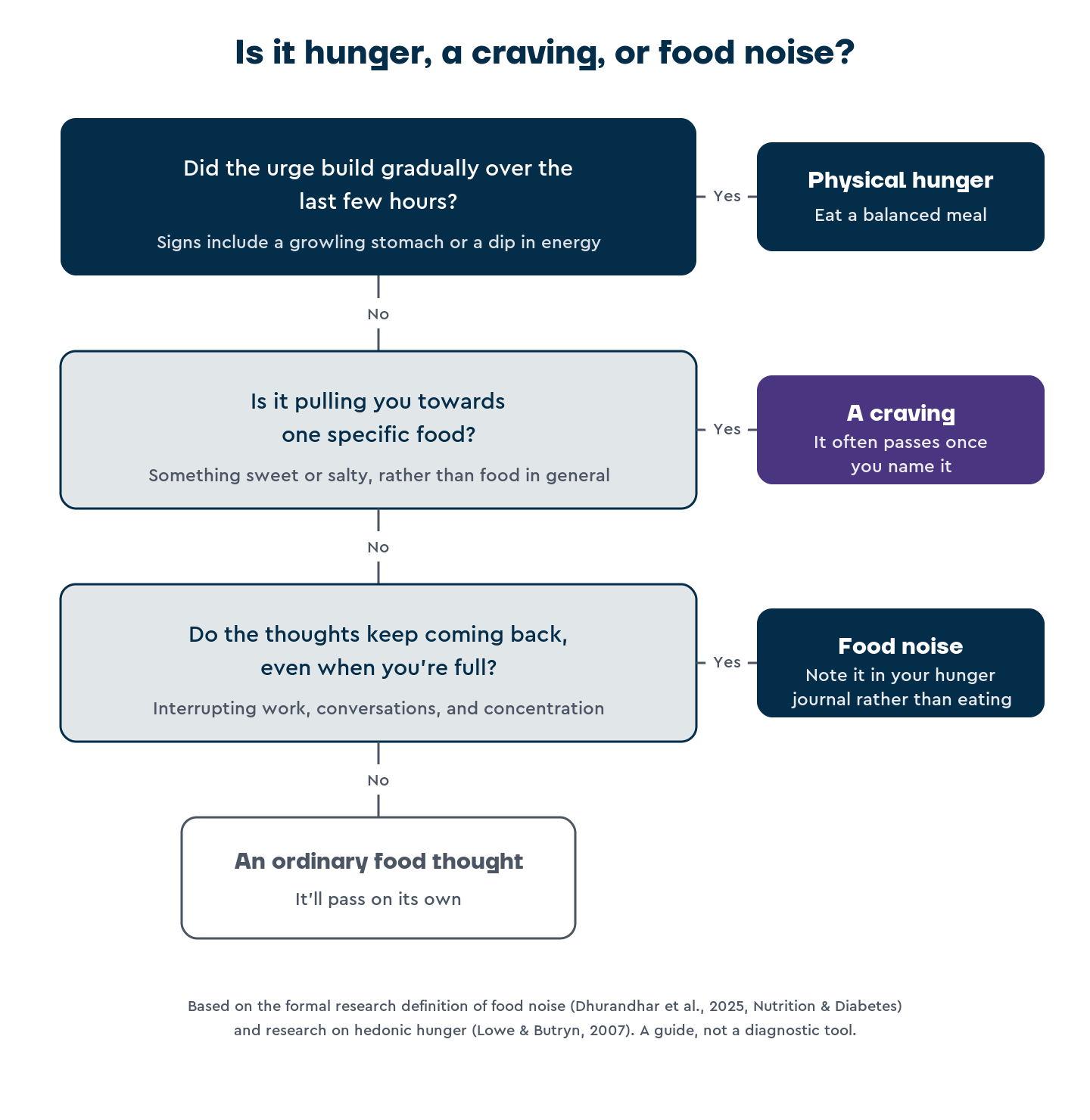 Flowchart with three yes-or-no questions separating physical hunger, cravings, and food noise, each with a suggested response.